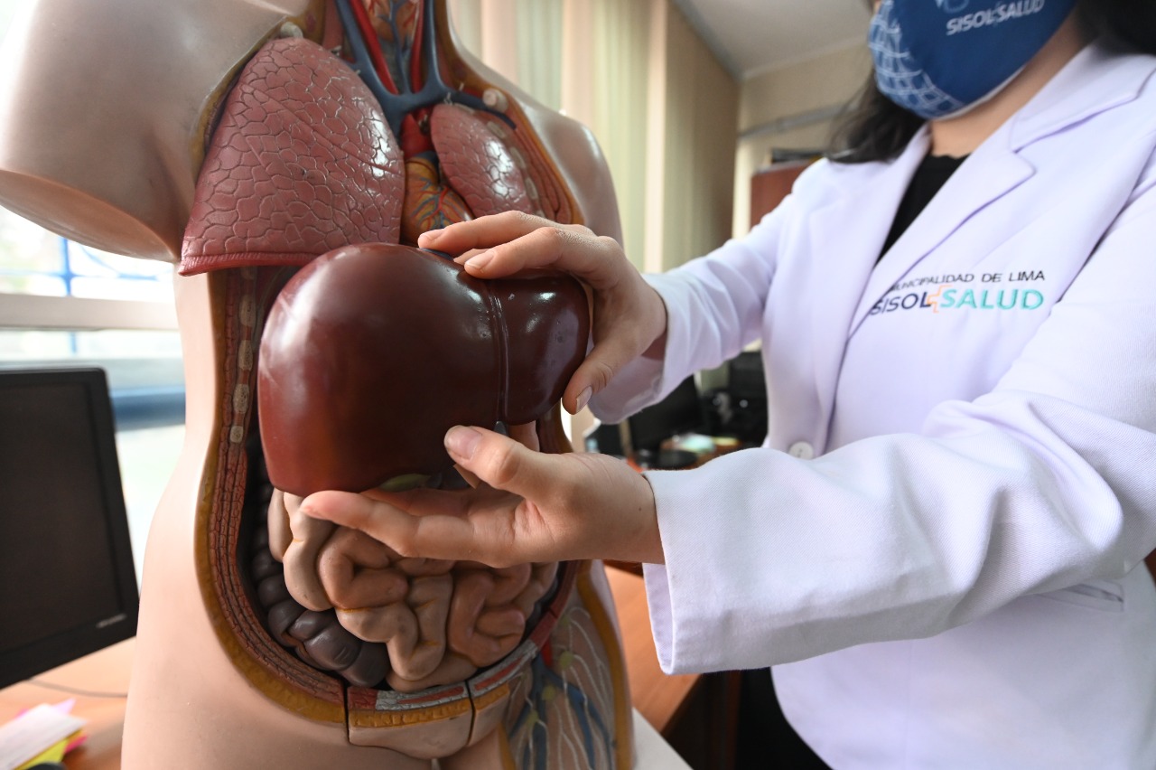 Identificación temprana de la Hepatitis B puede prevenir enfermedades como cirrosis y cáncer de hígado