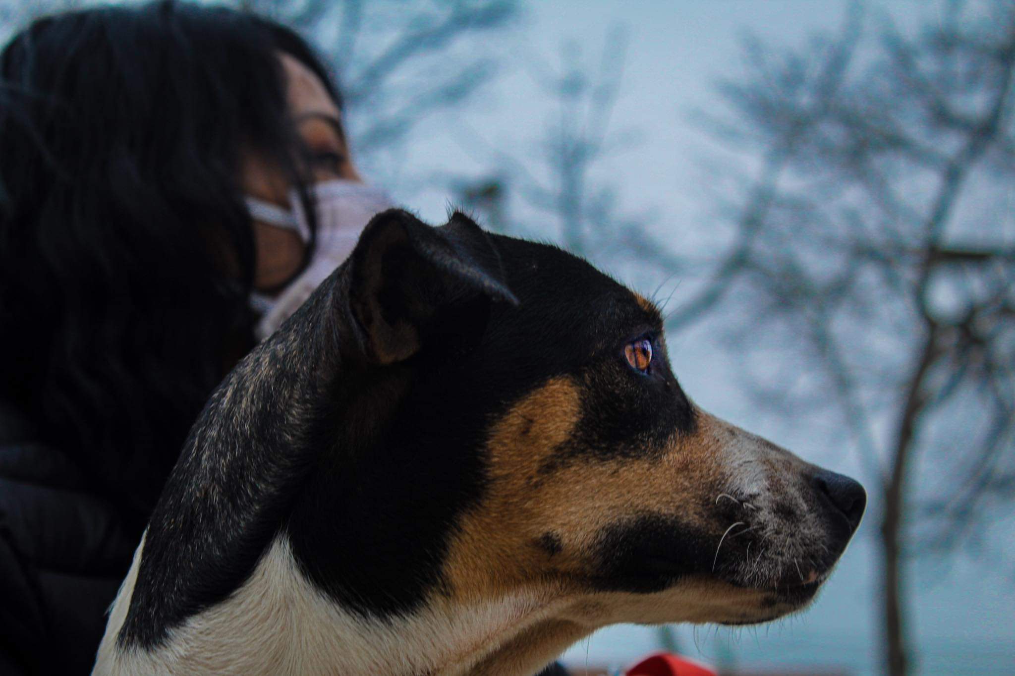 Las mascotas son nuestras aliadas para elevar la autoestima y evitar la depresión
