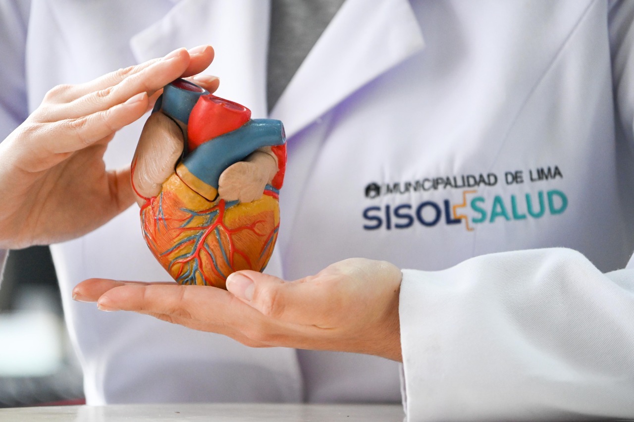 Día Mundial del Corazón: consejos básicos para mantener una buena salud cardiovascular